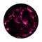 C2-0011 Nebula 2