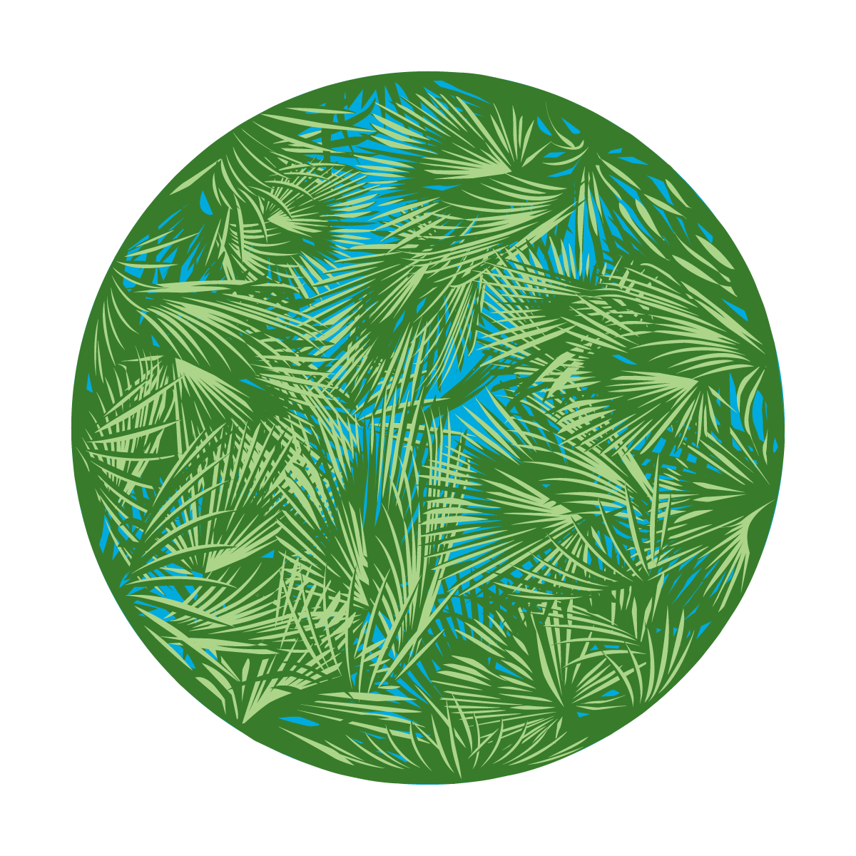 C2-0025 Breakup Palm Leaves