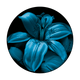 C2-0104 Blue Lily