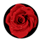 C2-0127 Red Rose