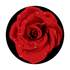 C2-0127 Red Rose