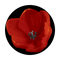 C2-0156 Red Tulip