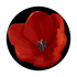 C2-0156 Red Tulip