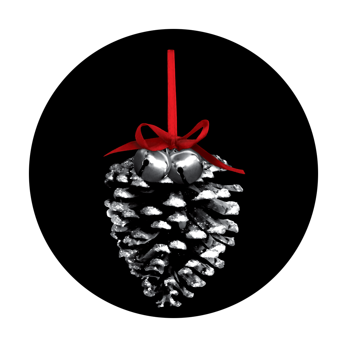 C2-0162 Winter Pinecone