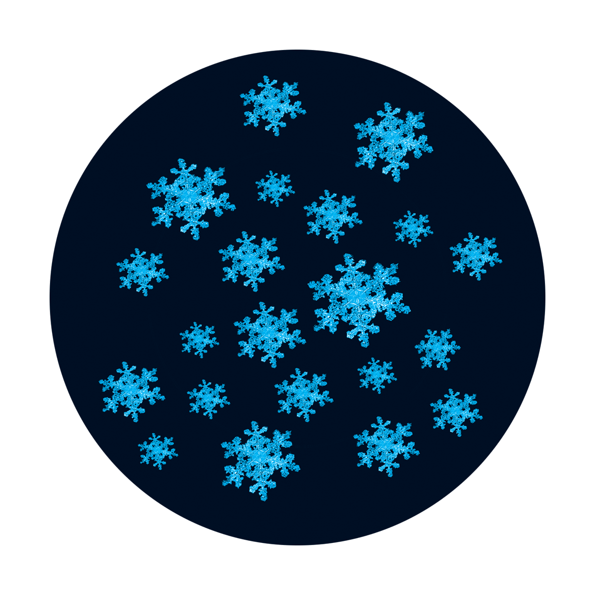 C2-1000 Winter Snowfall