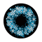 C2-1185 Icy Wreath