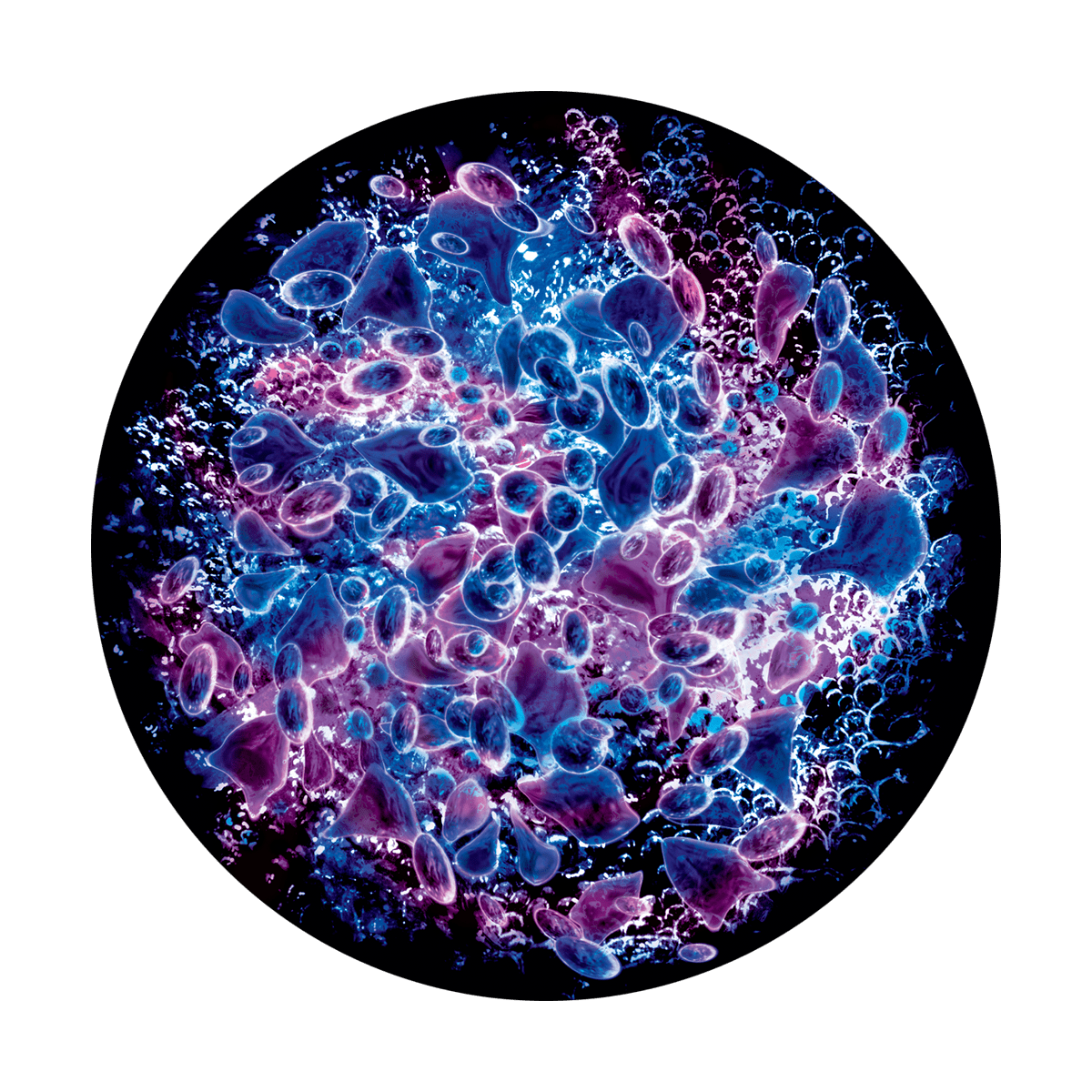 CS-0014 Flurry of Platelets