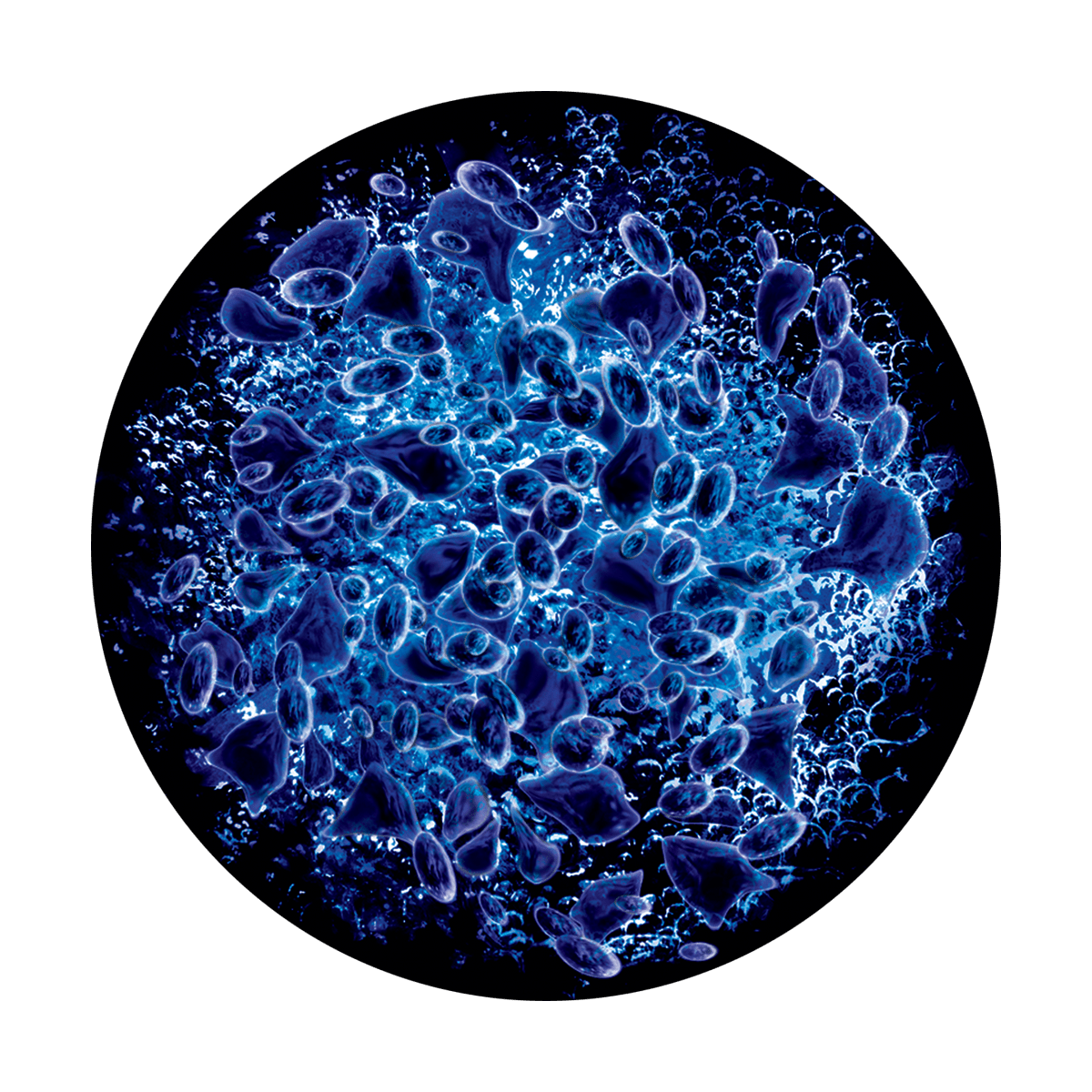 CS-0016 Royal Platelets