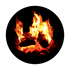 CS-0030 Burning Logs