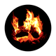 CS-0030 Burning Logs