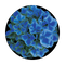 CS-0144 Blue Hydrangea