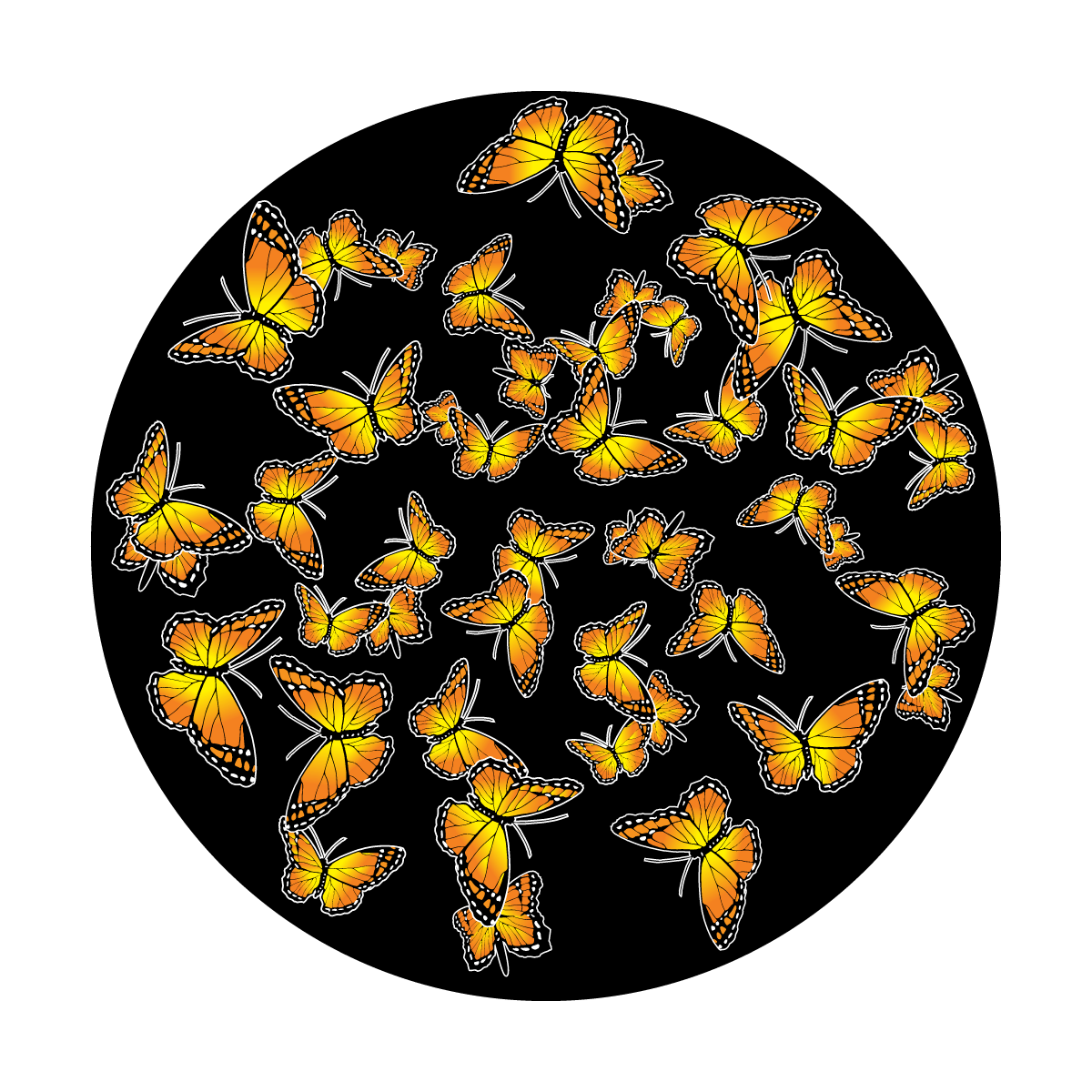 CS-0146 Butterfly Breakup