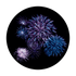 CS-0154 Firework Burst