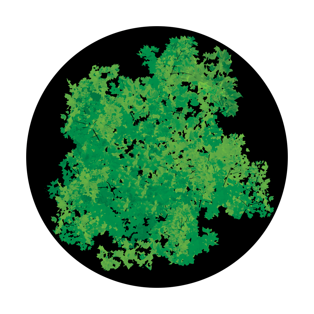 CS-0155 Impressionist Foliage