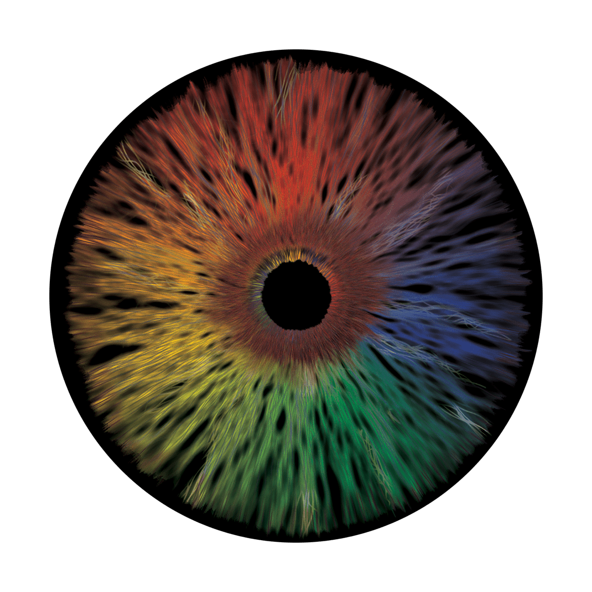 CS-0168 Wild Static Eye