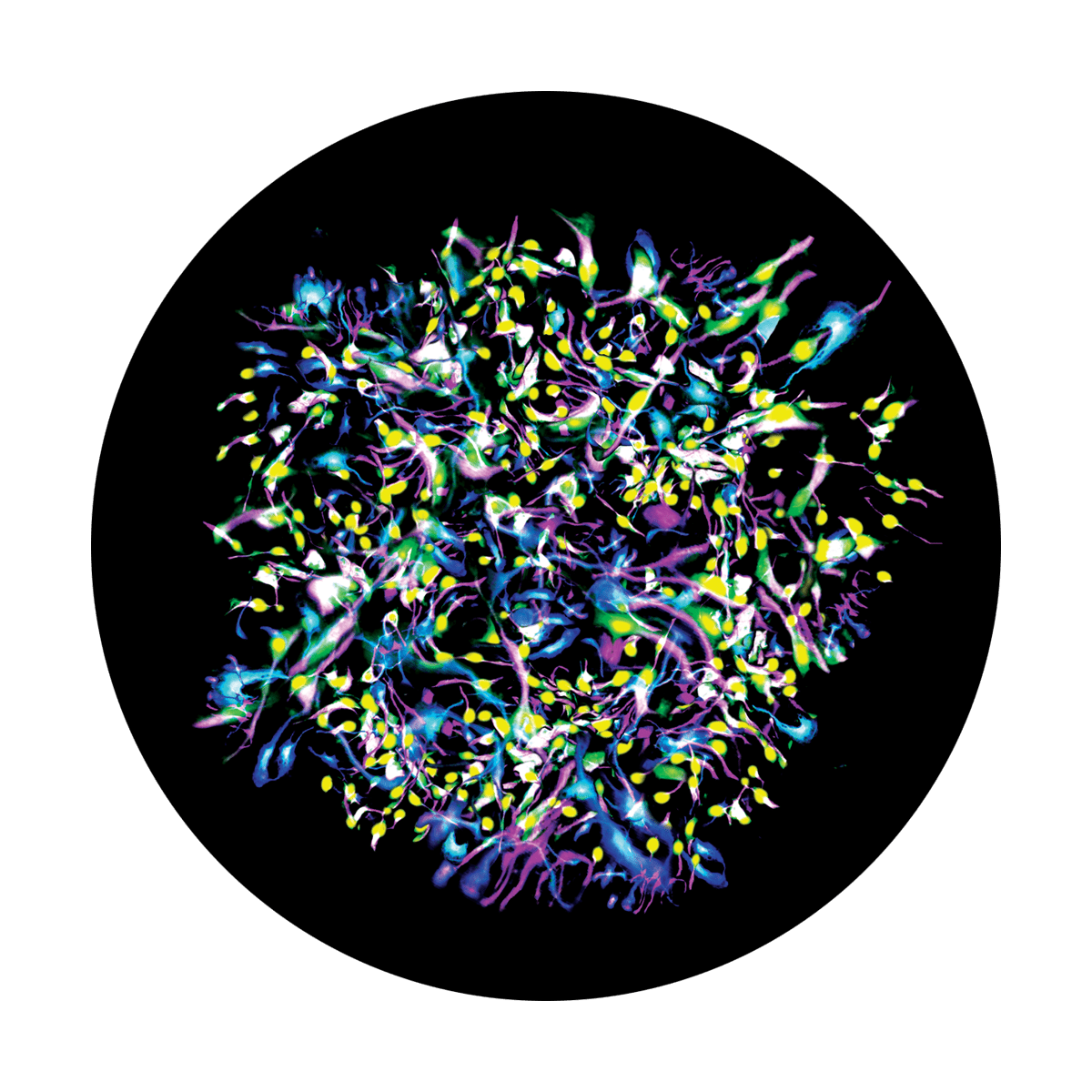 CS-2467 Color Electric