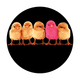 CS-3414 Chicks
