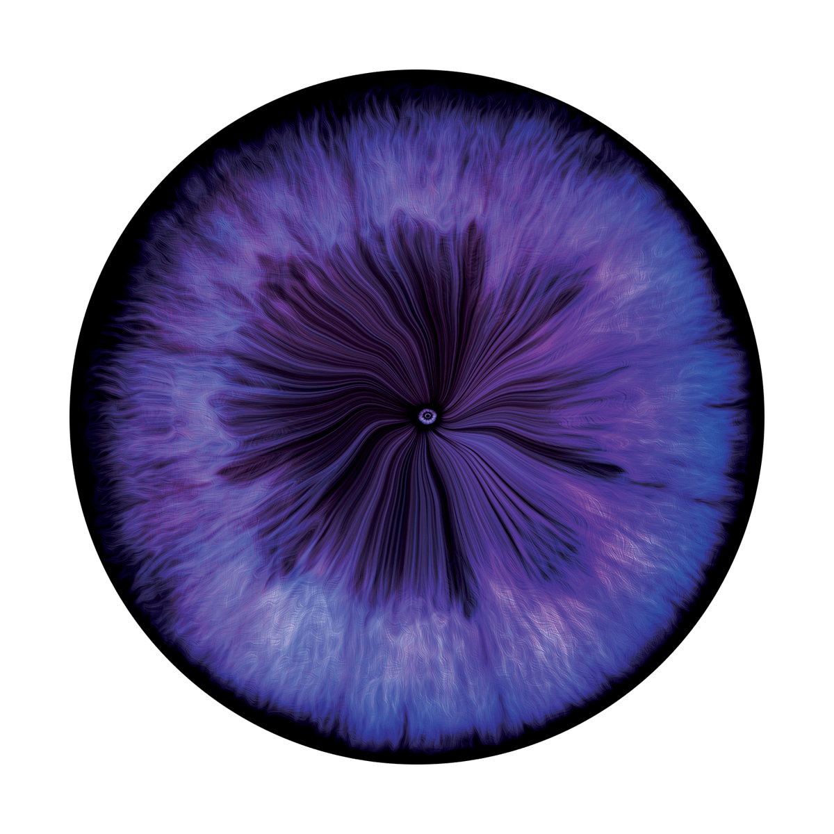 CS-3442 Electric Implosion