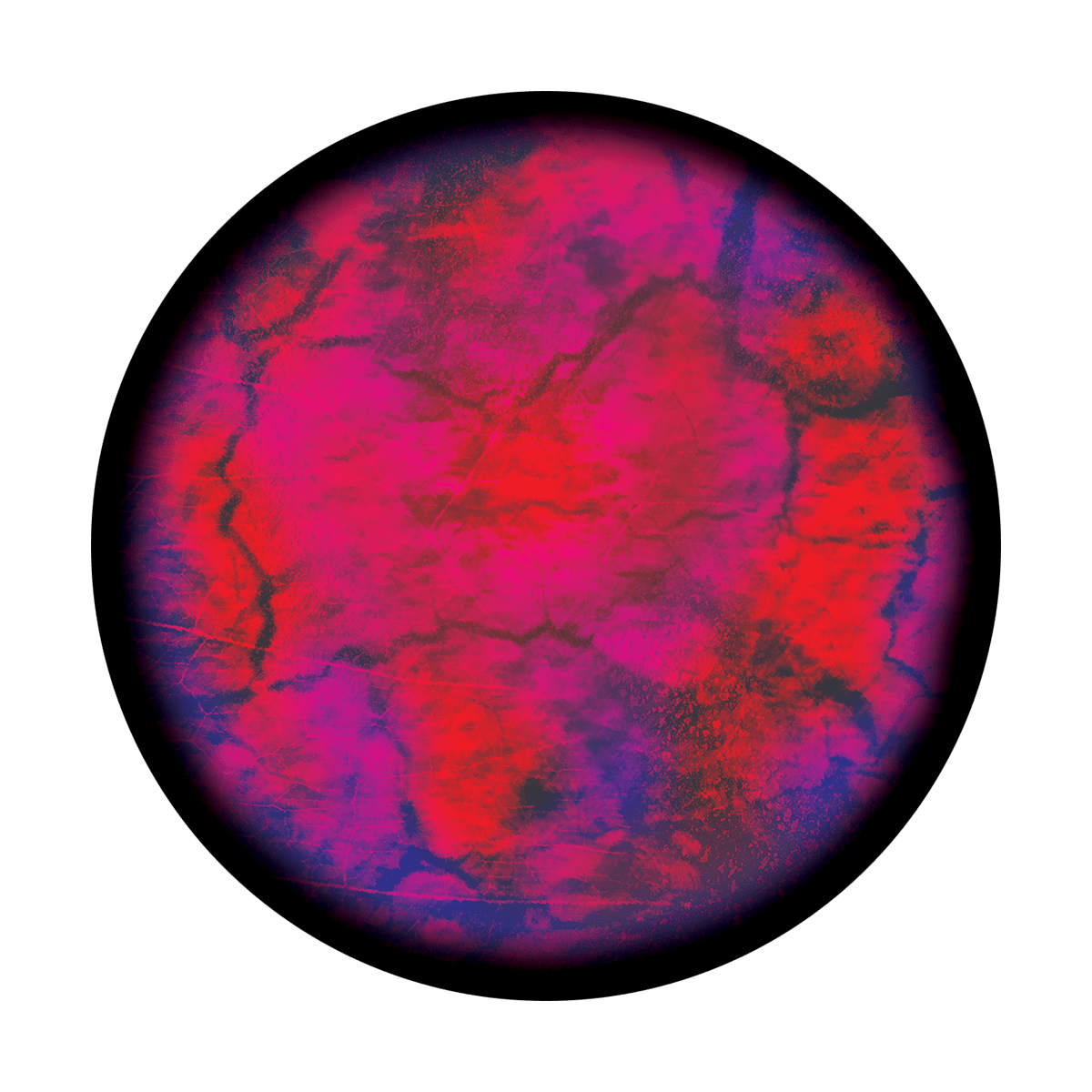 CS-3502 Microscope Slide