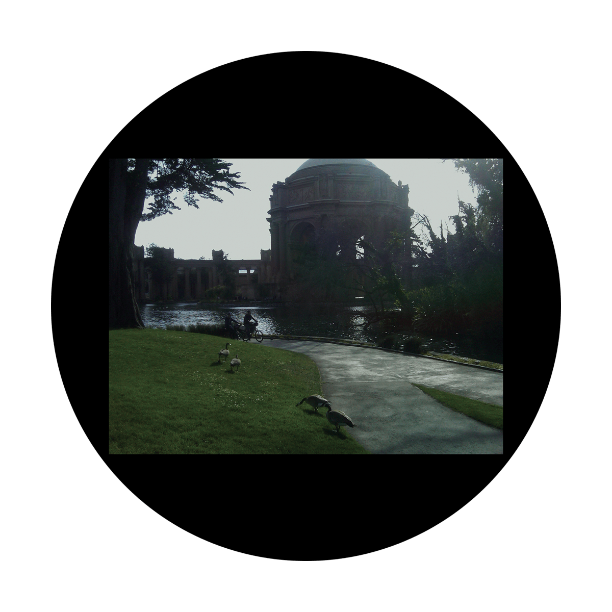 CSDS-8032 D. Antonakos - Ducks by the Lake