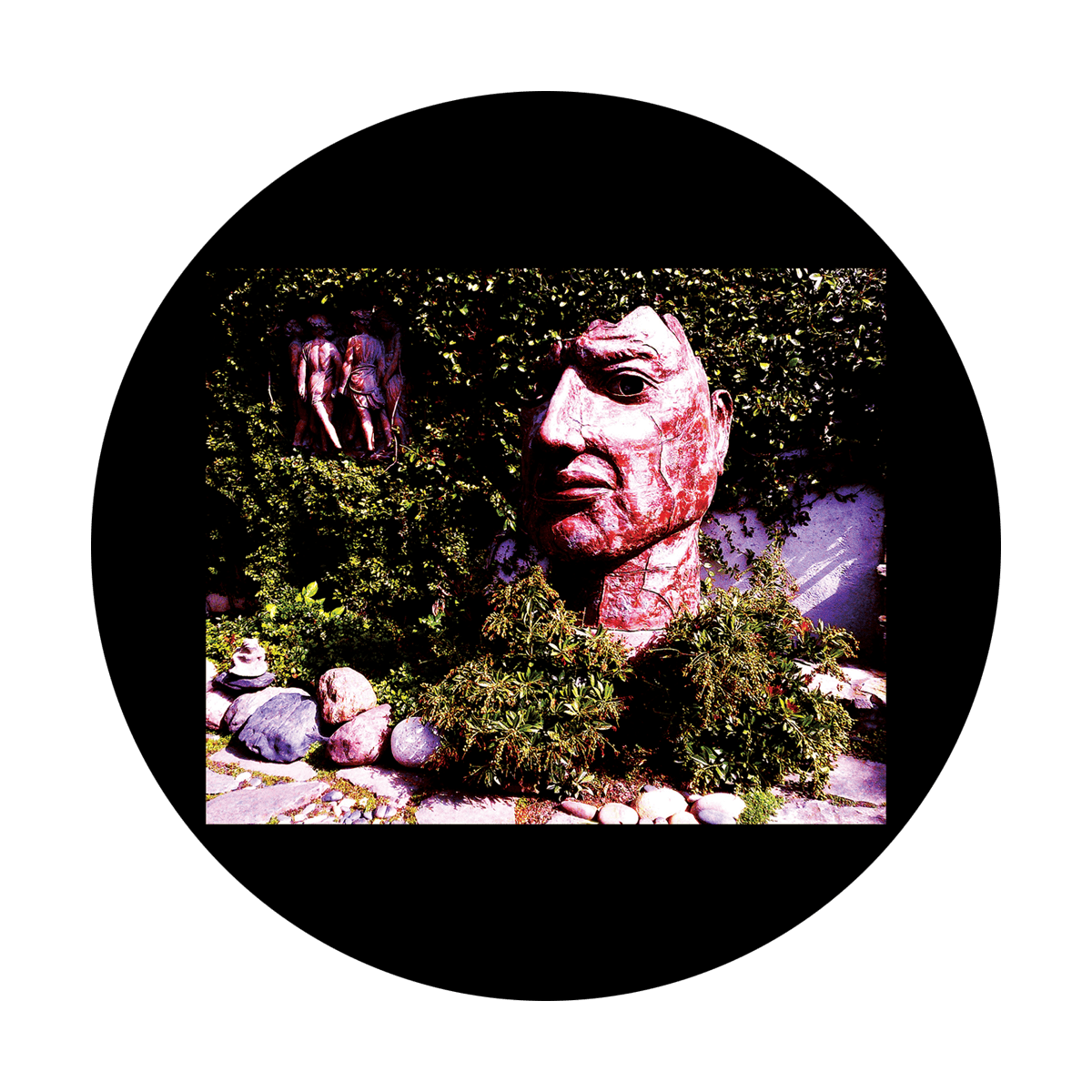 CSDS-8065 D. Antonakos - Rock Garden