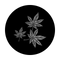 HE-1323 Maple Leaf