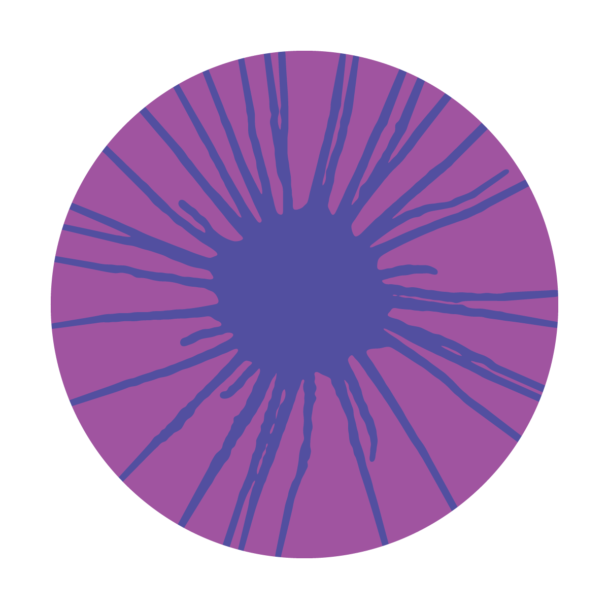 HE-2012-9 Psy - Spin Indigo 9