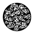 ME-1019 Turtle Shell