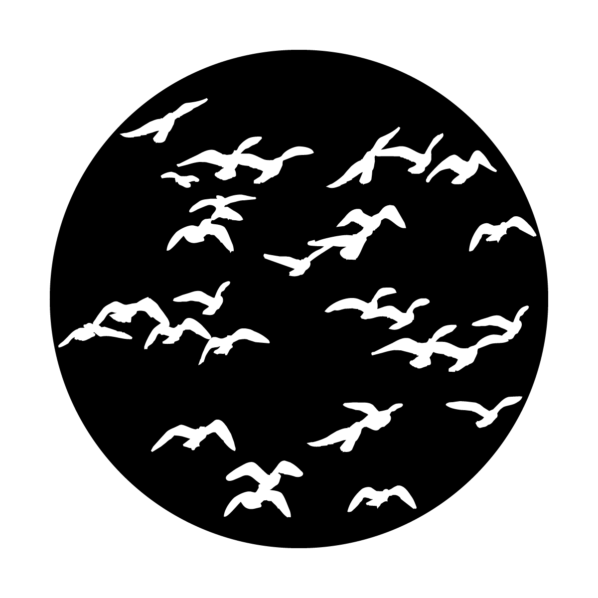 ME-1137 Flock of Birds