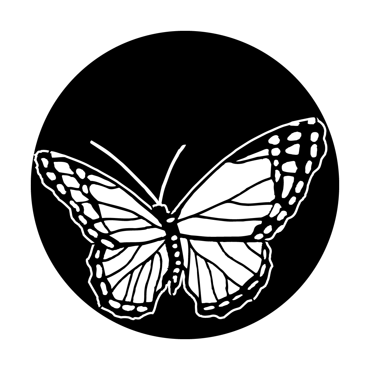 ME-1160 Butterfly