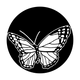ME-1160 Butterfly