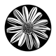 ME-1162 Simply Daisy