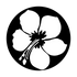 ME-1164 Hibiscus Flower