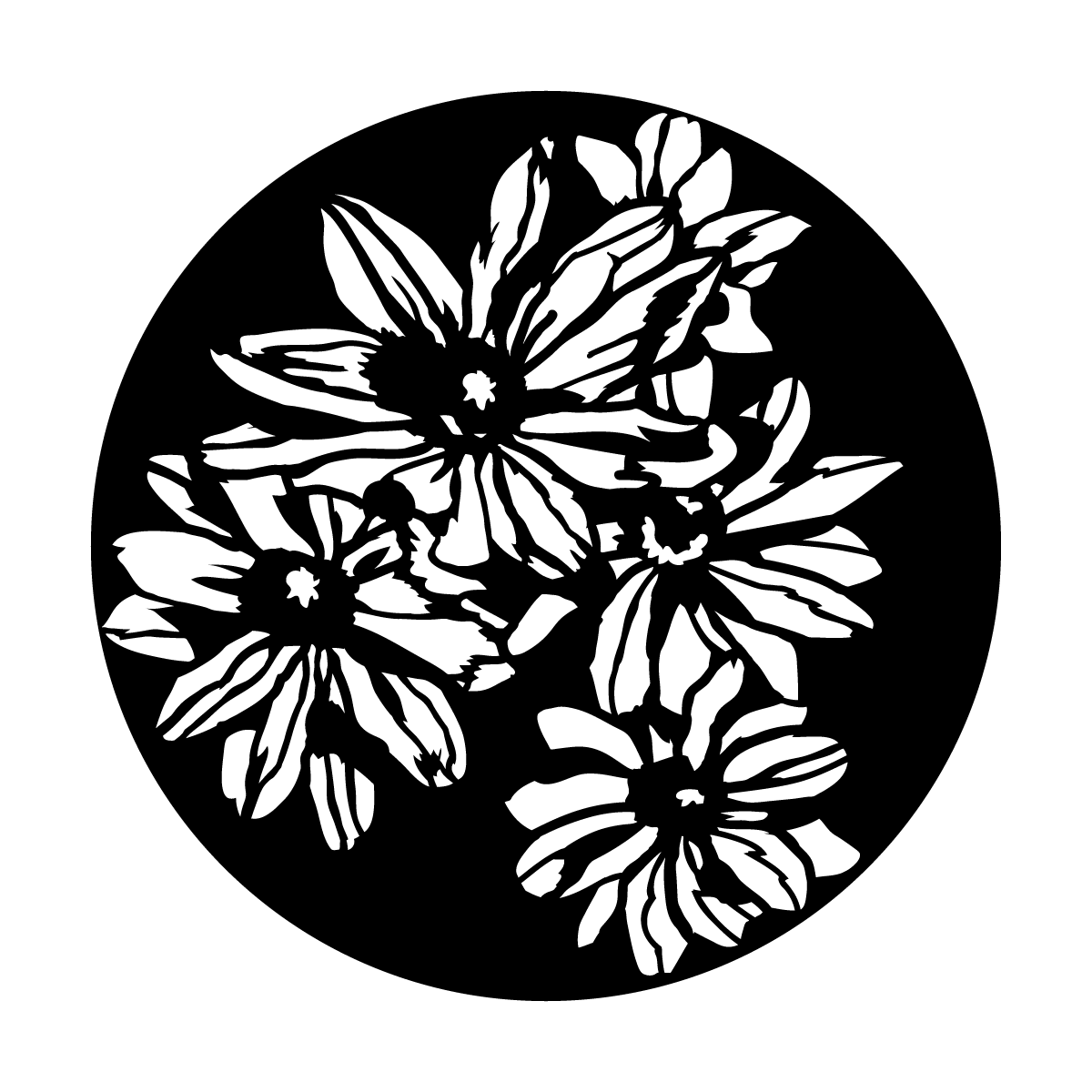 ME-1165 Daisy Group