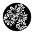 ME-1165 Daisy Group