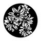 ME-1165 Daisy Group