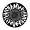ME-1167 Sunflower