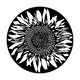 ME-1167 Sunflower