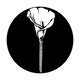 ME-1184 Lonely Calla Lily