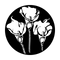 ME-1185 Calla Lily Trio