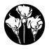 ME-1185 Calla Lily Trio