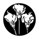 ME-1185 Calla Lily Trio