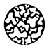 ME-2151 Protozoan Breakup