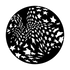 ME-2283 Star Whirl
