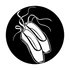 ME-2538 Ballet Shoes