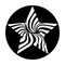 ME-2560 Star Moire
