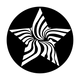 ME-2560 Star Moire