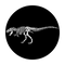ME-3029 Fossil