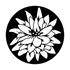 ME-3161 Flowering Lily