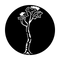 ME-3523 Tree Maple